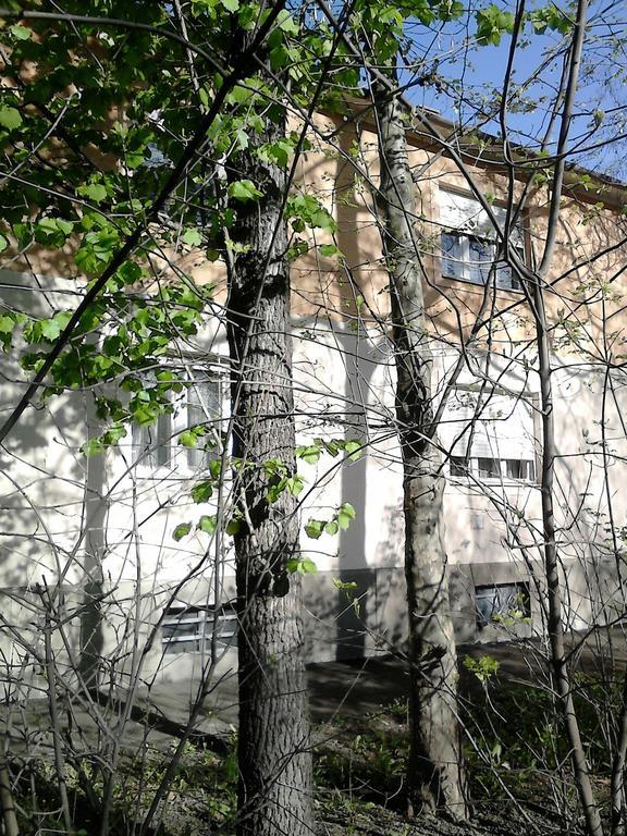 Belvarosi Vendeghaz Miskolc Luaran gambar